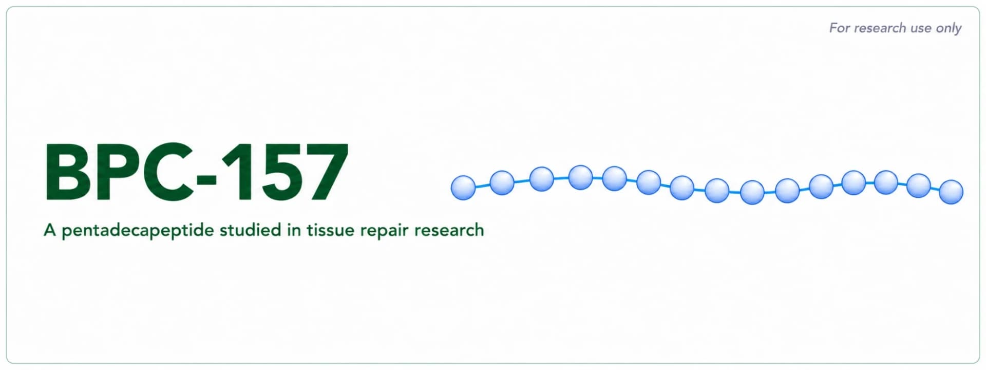 BPC-157 Research: What Preclinical Studies Show About Tissue Repair