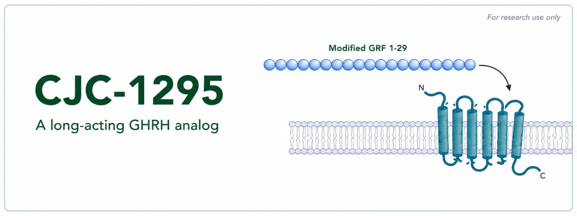CJC-1295 Research: How the GHRH Analog Works and What Studies Show