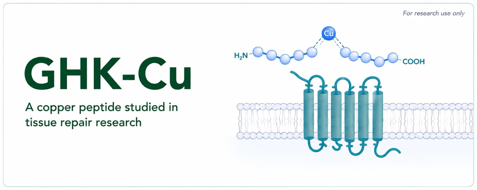 GHK-Cu Research: Copper Peptide Biology and Collagen Signaling in Preclinical Models