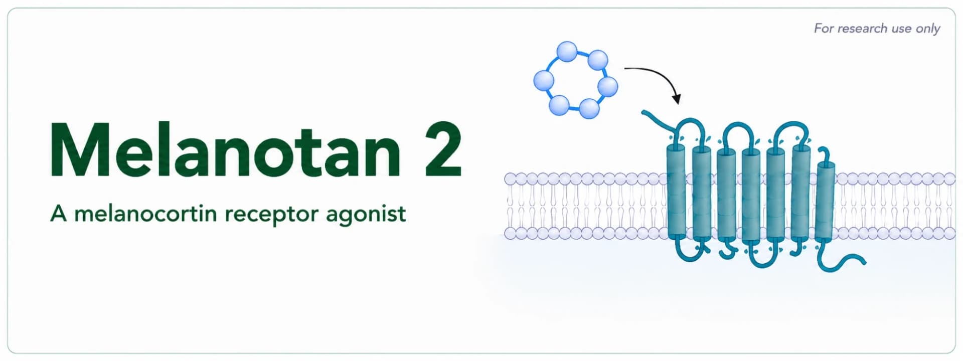Melanotan 2 Research: The Melanocortin System, Structure and Preclinical Findings