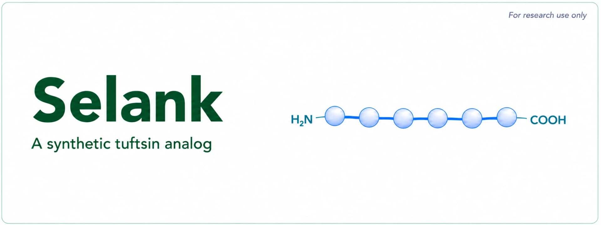 Selank Research: Preclinical Findings on GABAergic Signaling and Anxiolytic Peptide Biology