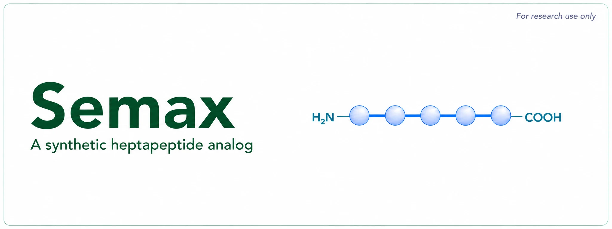 Semax Research: What Published Studies Show About BDNF Signaling and Neuroprotection