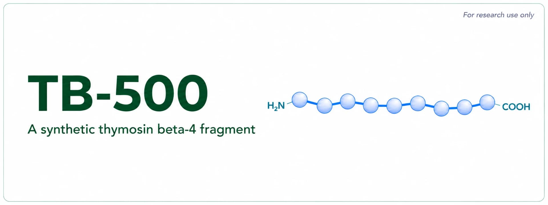 TB-500 Research: What Preclinical Studies Show About Thymosin Beta-4 and Tissue Repair Biology
