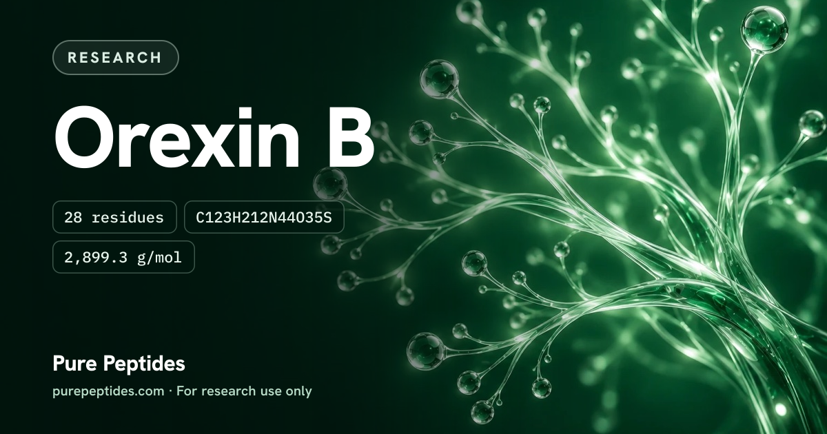 Orexin-B Research: the compound's name and figures from the product database, over abstract artwork